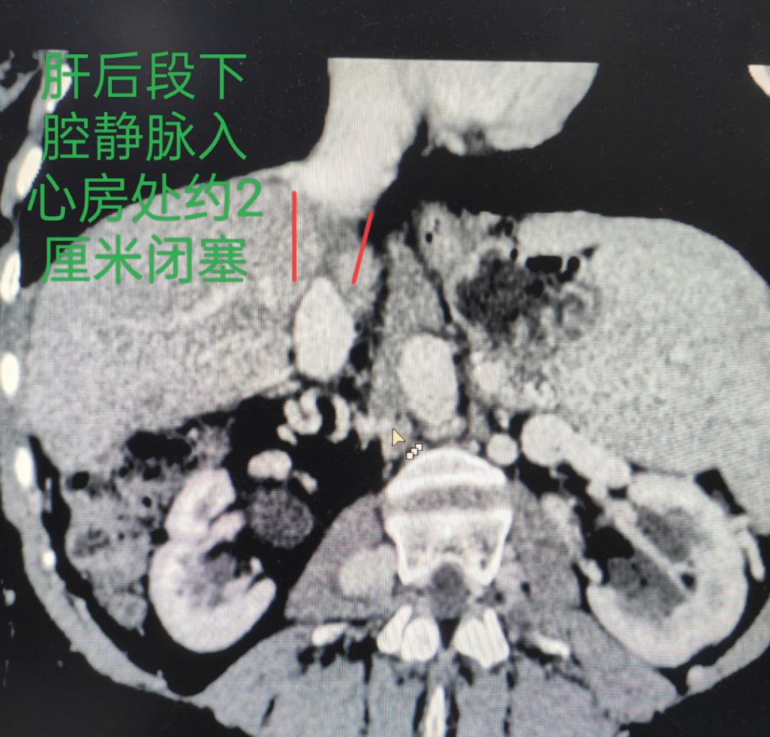 图片8.jpg